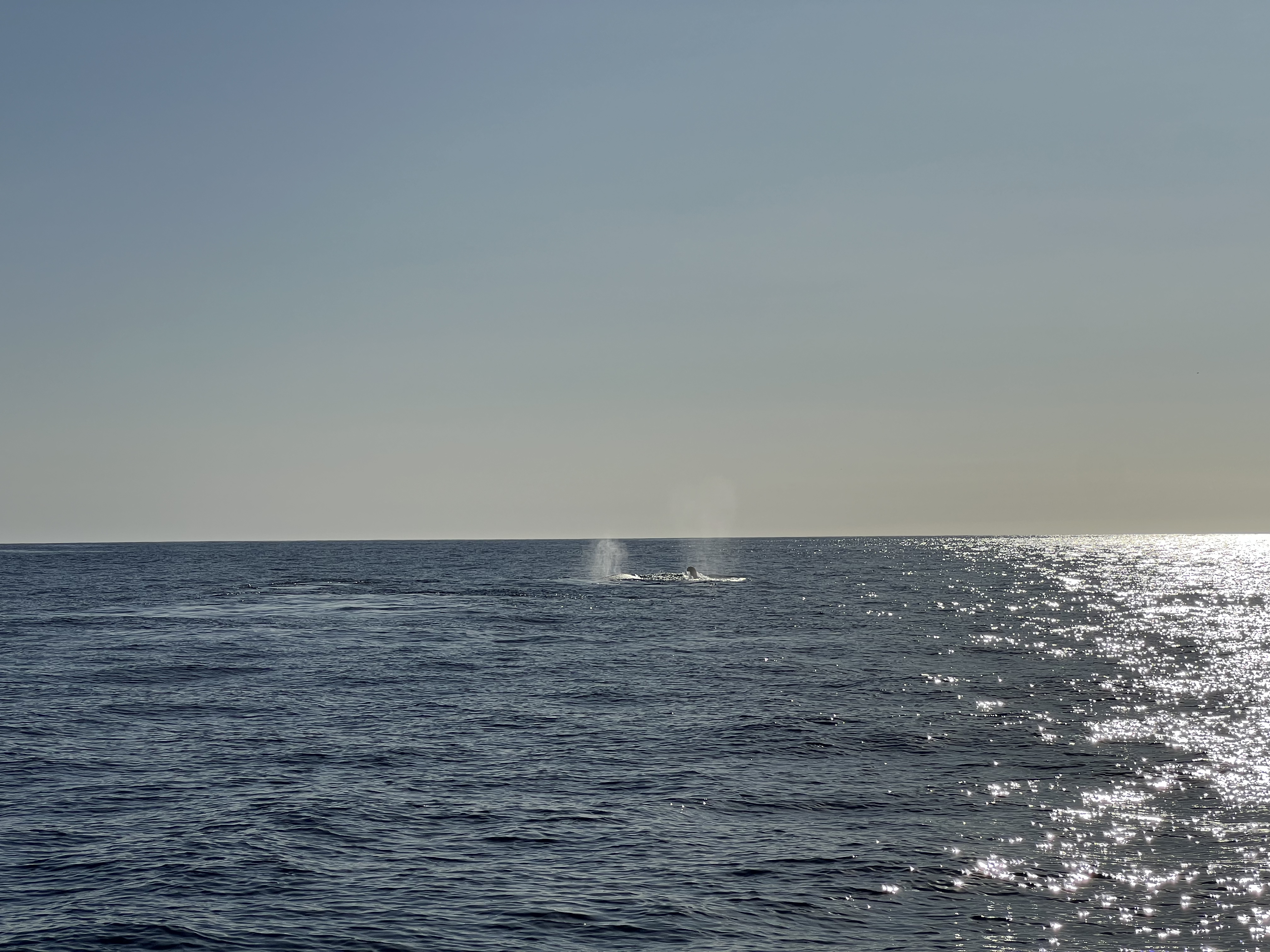 ./2024/13 - Cabo/IMG_4692.jpg